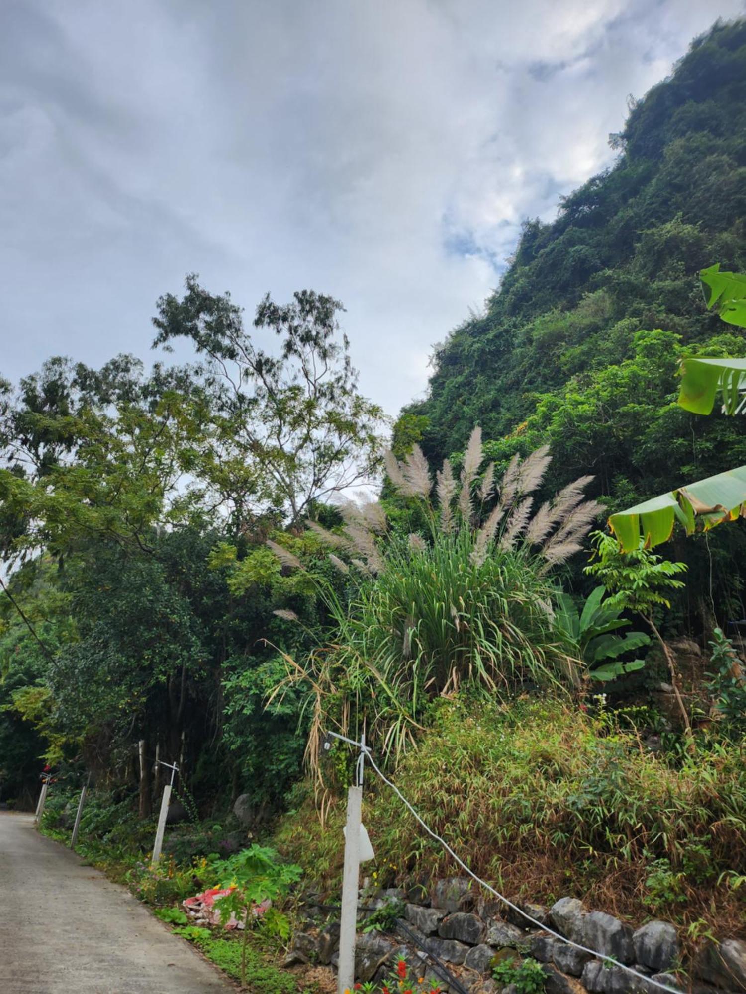 2Stones Cat Ba Homestay Chan Chau Esterno foto